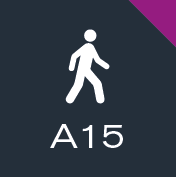 A15